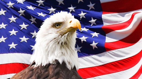 American Eagle with American Flag